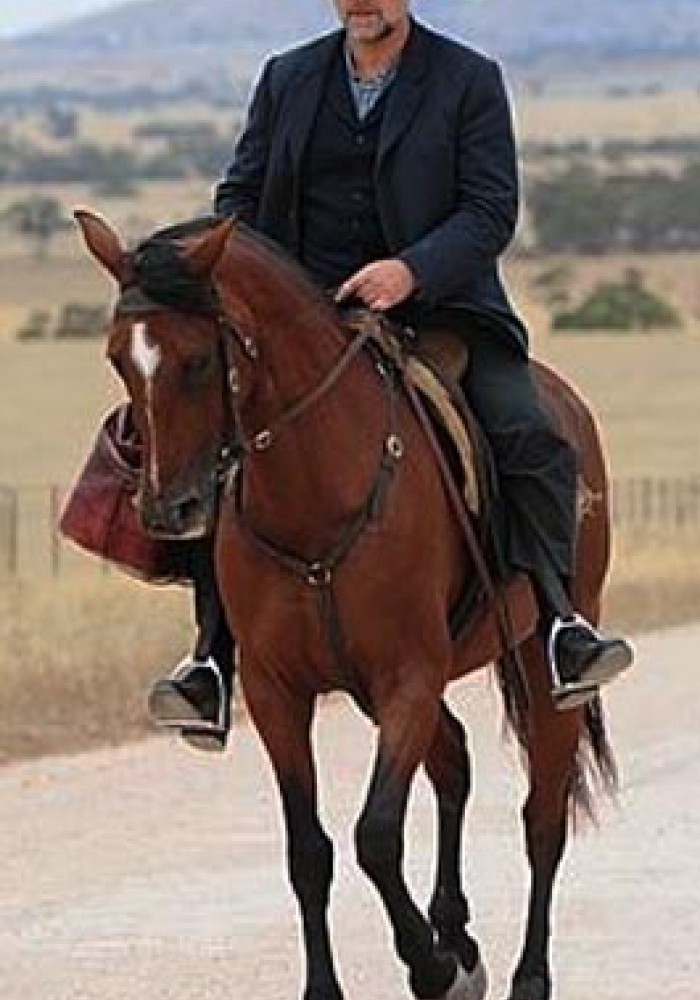 Tragač vode (Rašljar)